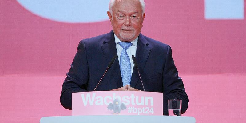 Wolfgang Kubicki (Archiv) - Foto: über dts Nachrichtenagentur