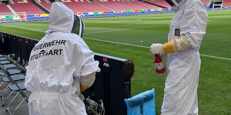 FW Stuttgart: Bienenschwarm in der Arena Stuttgart - Foto: presseportal.de