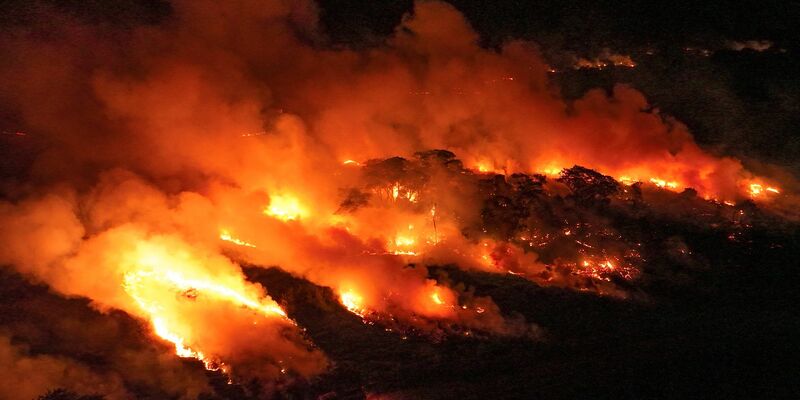 Im Pantanal-Feuchtgebiet brennt es derzeit heftig. - Foto: Andre Penner/AP/dpa