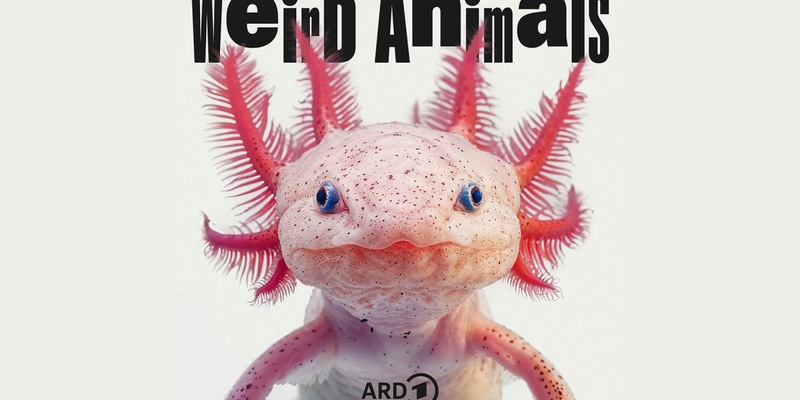 Weird Animals: neuer Podcast über die Komik der Tierwelt in der ARD Audiothek - Foto: presseportal.de