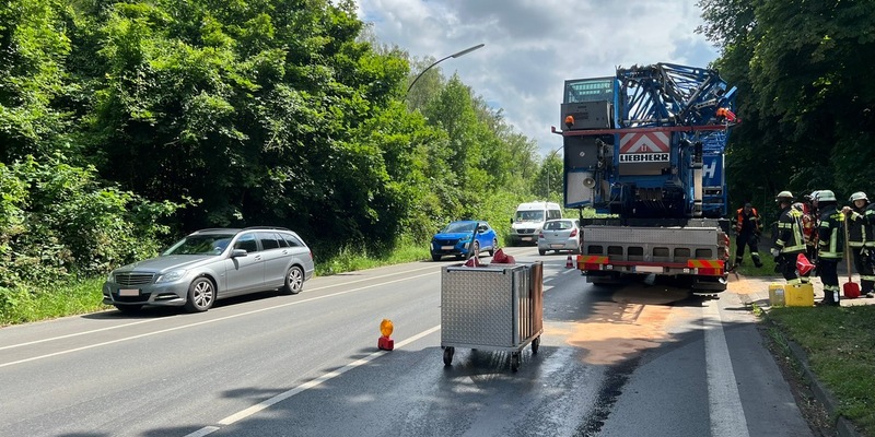 FW-WRN: TH_1 - LZ1 - Hydraulikschlauch geplatzt // Gefahrenstelle // Fahrbahn rutschig - Foto: presseportal.de