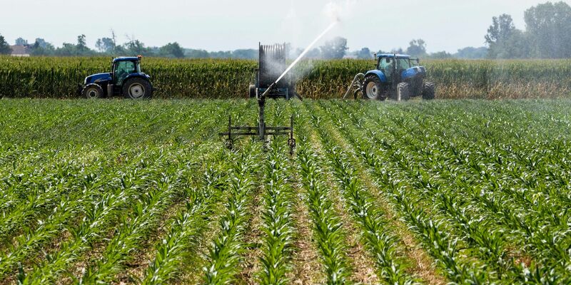 In der italienischen Landwirtschaft sind nach Schätzungen etwa 230.000 Menschen illegal beschäftigt, darunter viele Migranten. - Foto: Luca Bruno/AP/dpa