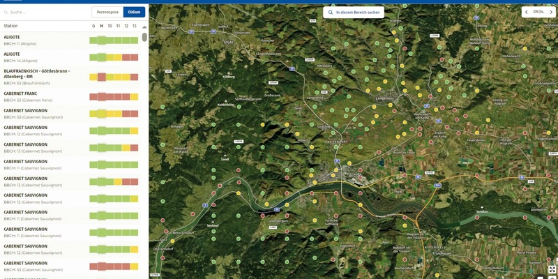 Digitales vine4cast Service schafft Planungssicherheit im Weinbau - Foto: presseportal.de