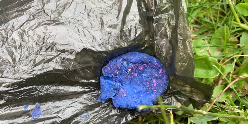 POL-SUL: Mutmaßliche Giftköder neben Fußweg ausgelegt - Foto: presseportal.de