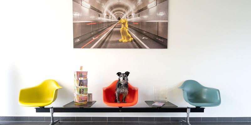 DAS FUTTERHAUS: Jeder Tag ist Bürohundetag - Foto: presseportal.de