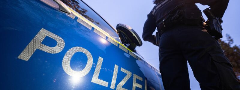 Mit einer Axt soll ein Mann in einem Zug auf Mitreisende losgegangen sein. (Archivbild) - Foto: Marijan Murat/dpa