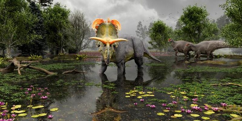 Der Dinosaurier mit seinen auffälligen Hörnern soll vor 78 Millionen Jahren durch Nordamerika gestreift sein. - Foto: Fabrizio Lavezzi/Evolutionsmusee/Colorado State University/dpa