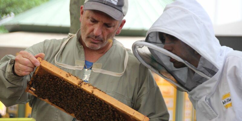 Imker Andrew Coté (l.) checkt gemeinsam mit einem Helfer die Bienenstöcke im New Yorker Bryant Park. Imkern in New York wird immer beliebter. - Foto: Christina Horsten/dpa