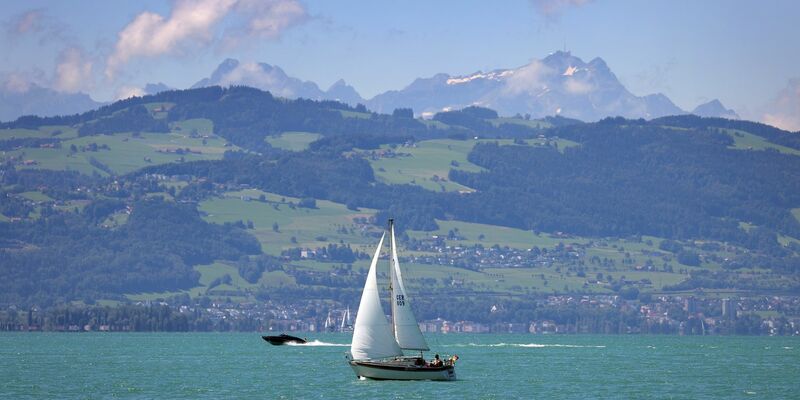Im Bodensee sind zwei Leichen entdeckt worden. - Foto: Karl-Josef Hildenbrand/dpa