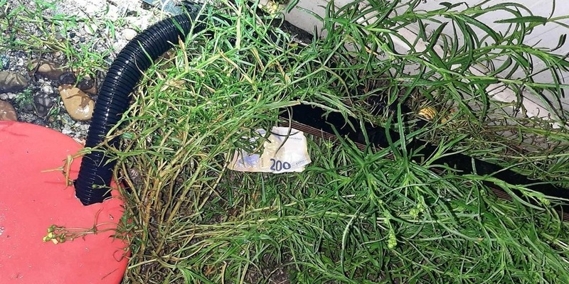 Bundespolizeidirektion München: Schleuser hinterlässt Geldscheine statt Erbrochenem/ Bundespolizei stoppt überbesetztes Schleuserfahrzeug - Foto: presseportal.de