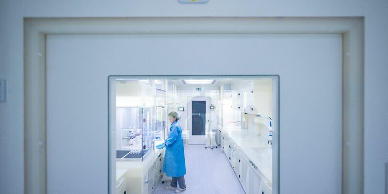 Forschende aus allen Fachrichtungen sind von Anfeindungen betroffen. - Foto: Hendrik Schmidt/dpa