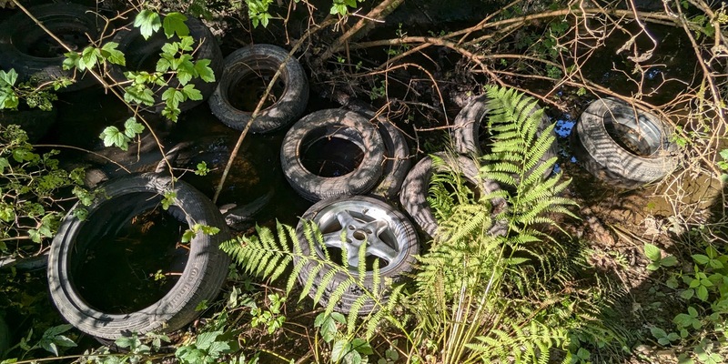 POL-OG: Offenburg - Zeugen nach illegaler Müllentsorgung gesucht - Foto: presseportal.de