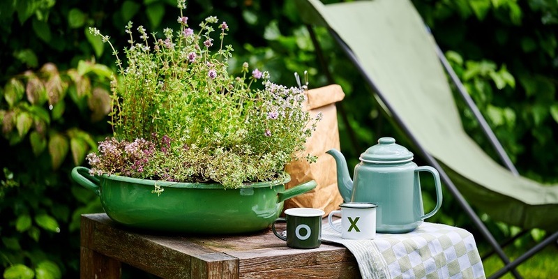 Outdoor-Pflanzen für trockene Sommertage / Tipps für die heiße Jahreszeit - Foto: presseportal.de