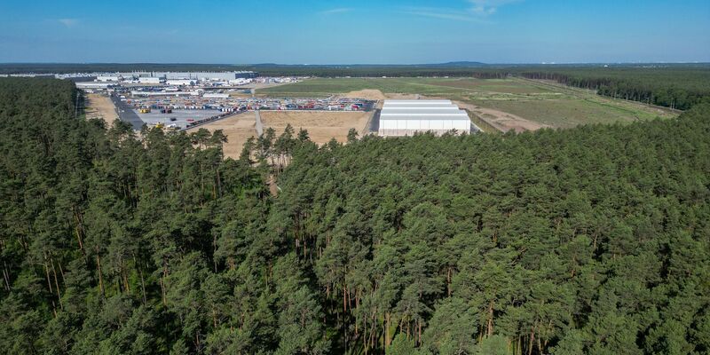 Dichter Wald steht am östlichen Teil des Werksgeländes der Tesla Gigafactory. - Foto: Soeren Stache/dpa