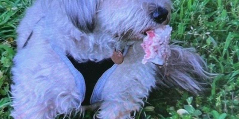 POL-PDLD: Wörth - Wolke im siebten Himmel - Foto: presseportal.de