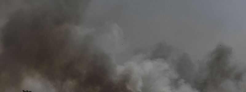 Ein Blick auf den Brand, der durch Raketen- und Drohnenangriffe aus dem Libanon auf Israel verursacht wurde. - Foto: Ilia Yefimovich/dpa