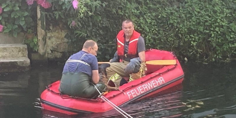 FW-KLE: Hund aus dem Kermisdahl gerettet - Foto: presseportal.de