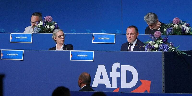 AfD-Parteitag am 30.06.2024 - Foto: über dts Nachrichtenagentur