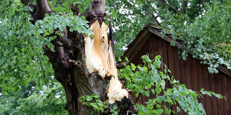 FW Hambühren: Trotz schwerer Gewitter in der Gemeinde Hambühren: Feuerwehr nur bei einem Einsatz gefordert - Foto: presseportal.de