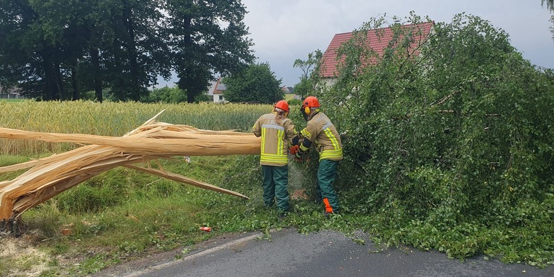 FW Lage: TH 0 / Blitzeinschlag in Birke ohne Feuer - 30.06.24 - 14:04 Uhr - Foto: presseportal.de