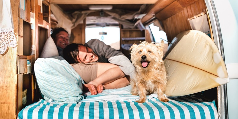Mit dem Hund in den Urlaub: Achtung Leishmaniose! Drei Tipps zum Schutz vor der gefährlichen Reisekrankheit - Foto: presseportal.de