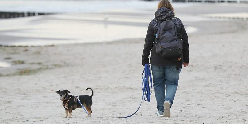 Strand (Archiv) - Foto: über dts Nachrichtenagentur