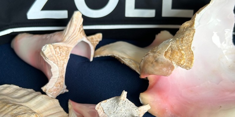 HZA-RO: Der ZOLL nimmt den Artenschutz ernst / Teile von Fechterschnecken im Postpaket beim Zollamt Reischenhart entdeckt - Foto: presseportal.de