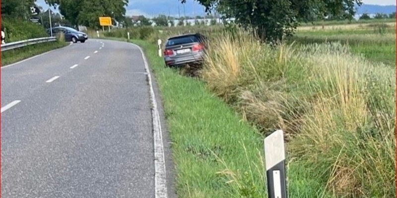POL-PDLD: Pkw-Fahrer kommt von der Fahrbahn ab - Foto: presseportal.de