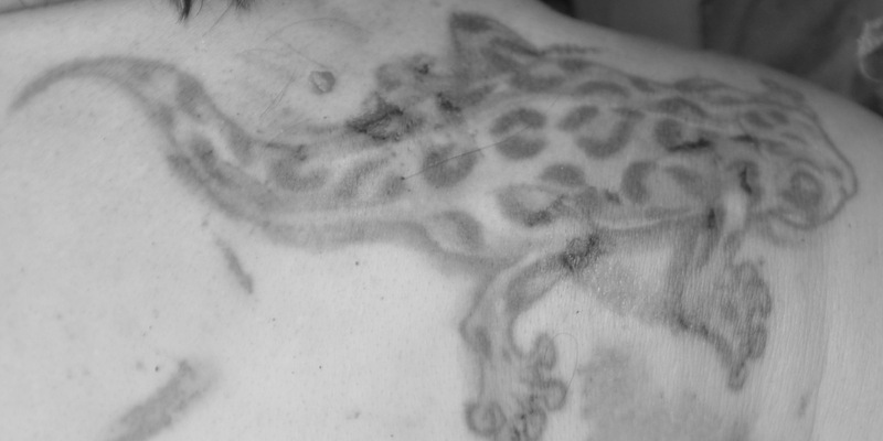 POL-SZ: Pressemitteilung der Polizeiinspektion SZ/PE/WF vom 02.07.2024. BILDER IM ANHANG. - Foto: presseportal.de