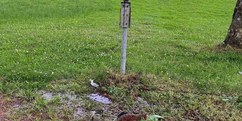 POL-PDTR: Brennender Mülleimer im Park-Jugendliche flüchten - Foto: presseportal.de