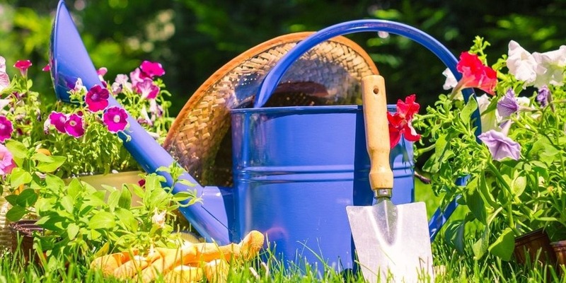 Gartenkompass 2024: So gärtnert Deutschland für mehr Artenvielfalt - Foto: presseportal.de