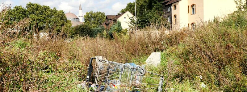 Müll auf einer Grünfläche in Duisburg-Marxloh (Archivbild) - Foto: Roland Weihrauch/dpa