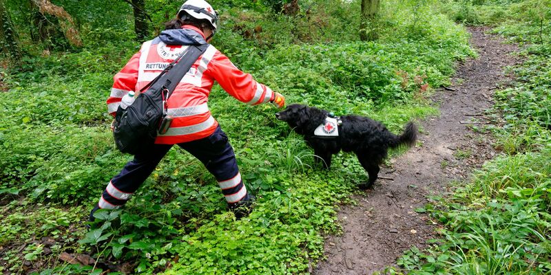 Glückliches Ende einer Vermisstensuche: Das verschwundene Mädchen ist wieder da (Archivbild). - Foto: Henning Kaiser/dpa