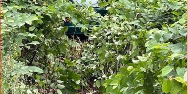 POL-PDLD: Pkw-Fahrerin kommt von der Fahrbahn ab - Foto: presseportal.de