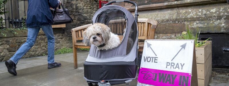 Die Menschen in Großbritannien gelten als besonders tierlieb und bringen ihre Hunde oft zum Wählen mit. - Foto: Jane Barlow/PA Wire/dpa