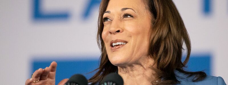 Kamala Harris blieb als US-Vizepräsidentin auffällig blass. (Archivbild) - Foto: Ronda Churchill/AP/dpa