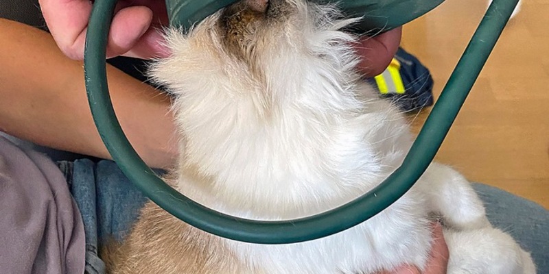 FW-M: Zu tief hineingeschaut (Perlach) - Foto: presseportal.de