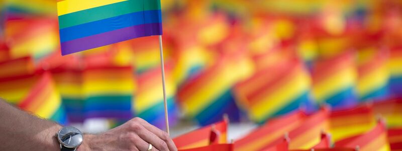 Auch gegen die Regenbogenfahne wurde bei den Vereinten Nationen schon protestiert. Sie symbolisiert Toleranz gegenüber allen Menschen, die sich nicht im traditionellen Rollenbild zwischen Mann und Frau sehen. (Archiv) - Foto: Monika Skolimowska/dpa