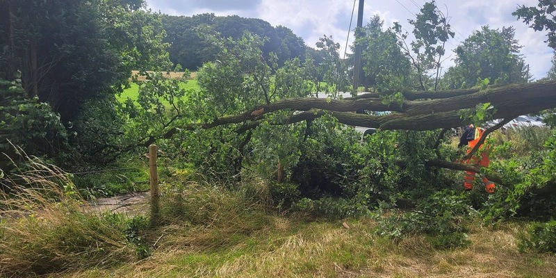 FW Sonsbeck: Drei Einsätze für die Feuerwehr Sonsbeck - Zwei Stromleitungen beschädigt - Foto: presseportal.de