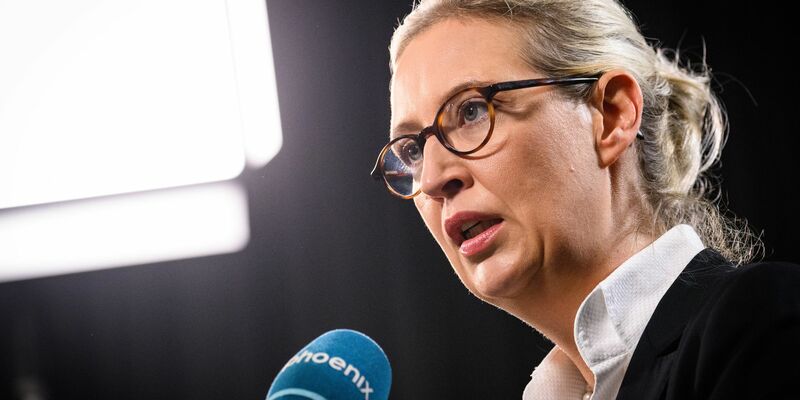AfD-Chefin Alice Weidel bekommt ein weltweites Millionenpublikum: Tech-Milliardär Elon Musk trifft sich voraussichtlich mit ihr online für einen Live-Talk. (Archivfoto) - Foto: Bernd von Jutrczenka/dpa