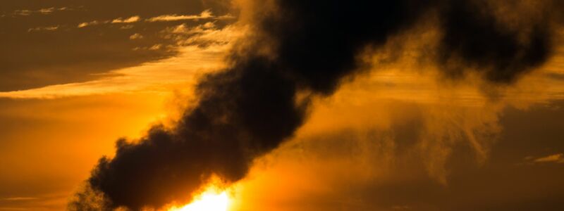 Die Morgensonne scheint hinter qualmenden Schornsteinen eines Blockheizkraftwerks in Frankfurt (Oder) (Brandenburg). - Foto: picture alliance / dpa