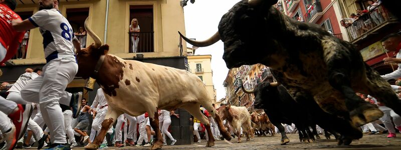 Mit Hilfe von Pferden wird ein getöteter Stier aus der Arena geschleift. Sein Fleisch kommt meist in lokalen Metzgereien zum Verkauf. - Foto: Alvaro Barrientos/AP