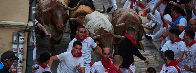 Tierschützer beklagen, die Stierhatz sei für die Tiere nichts anderes als eine panische Flucht durch die für sie völlig ungewohnten Menschenmassen. - Foto: Eduardo Sanz/EUROPA PRESS/dpa