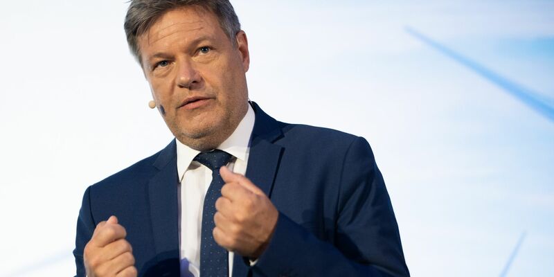 Deutschland will bis 2045 klimaneutral sein. Bis dahin ist noch viel zu tun in Sachen erneuerbare Energien. - Foto: Sebastian Christoph Gollnow/dpa