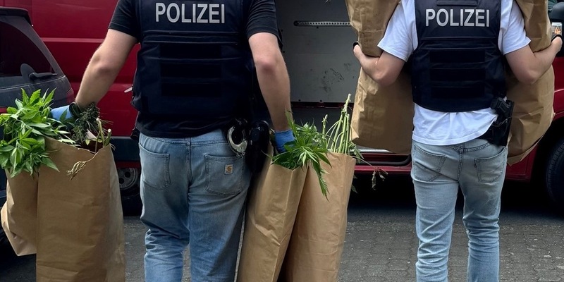 POL-REK: 240709-3: Cannabispflanzen und Pilze sichergestellt - Foto: presseportal.de