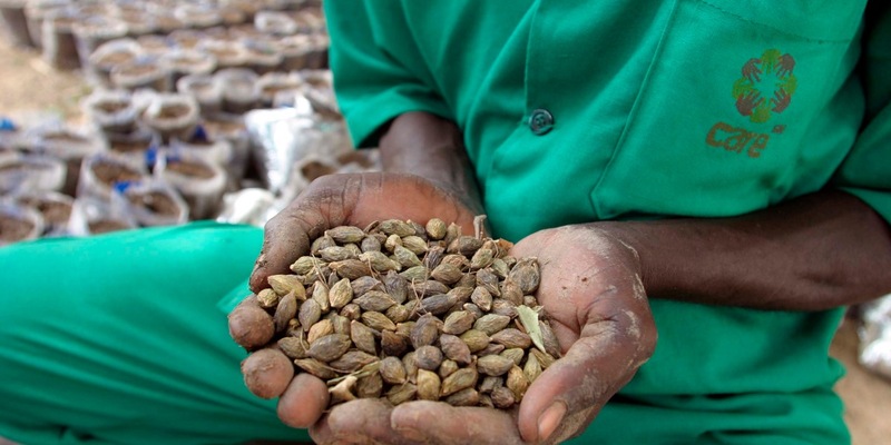 Ernährungskrise verschärft sich: Bündnis Aktion Deutschland Hilft warnt vor wachsender Not im Sudan / Konflikt löst Hungersnot und Massenvertreibung aus - Organisationen im Bündnis leisten Nothilfe - Foto: presseportal.de