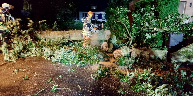 FW Hünxe: Baum stürzt auf Hausdach - Foto: presseportal.de