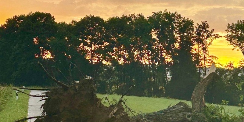 POL-PDLD: Fleißige Helfer nach Sturmschaden - Foto: presseportal.de