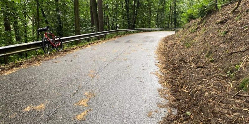POL-PDLD: Maikammer - Verletzter Rennradfahrer - Foto: presseportal.de