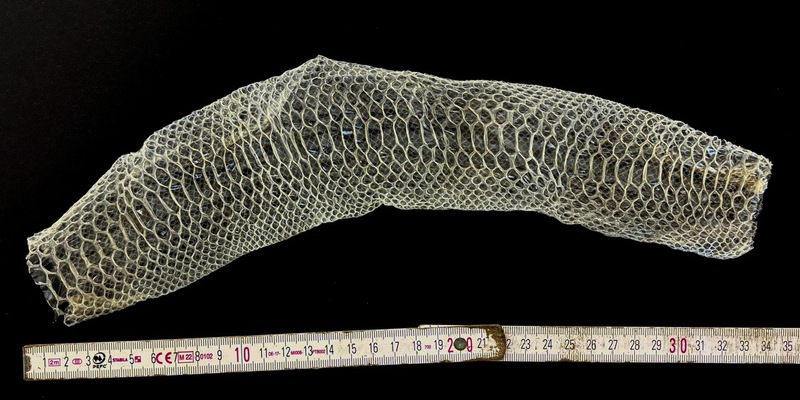 HZA-OL: Zoll: Schlangenhaut im Postpaket - Foto: presseportal.de